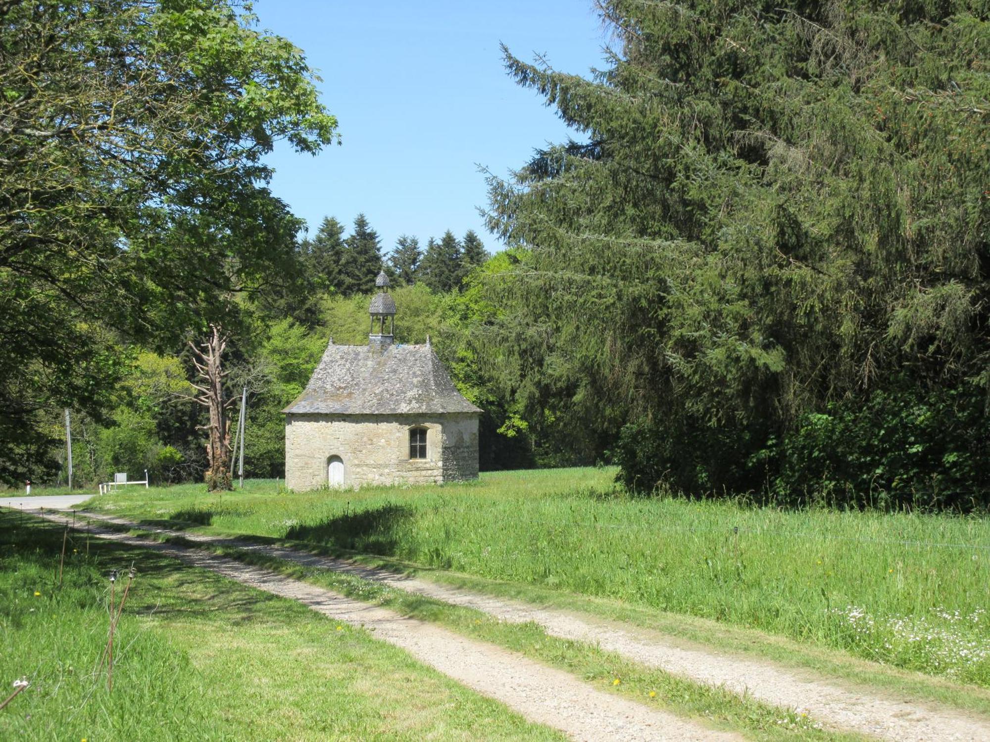 Bed and Breakfast Chateau De Craon Comblessac Exteriér fotografie